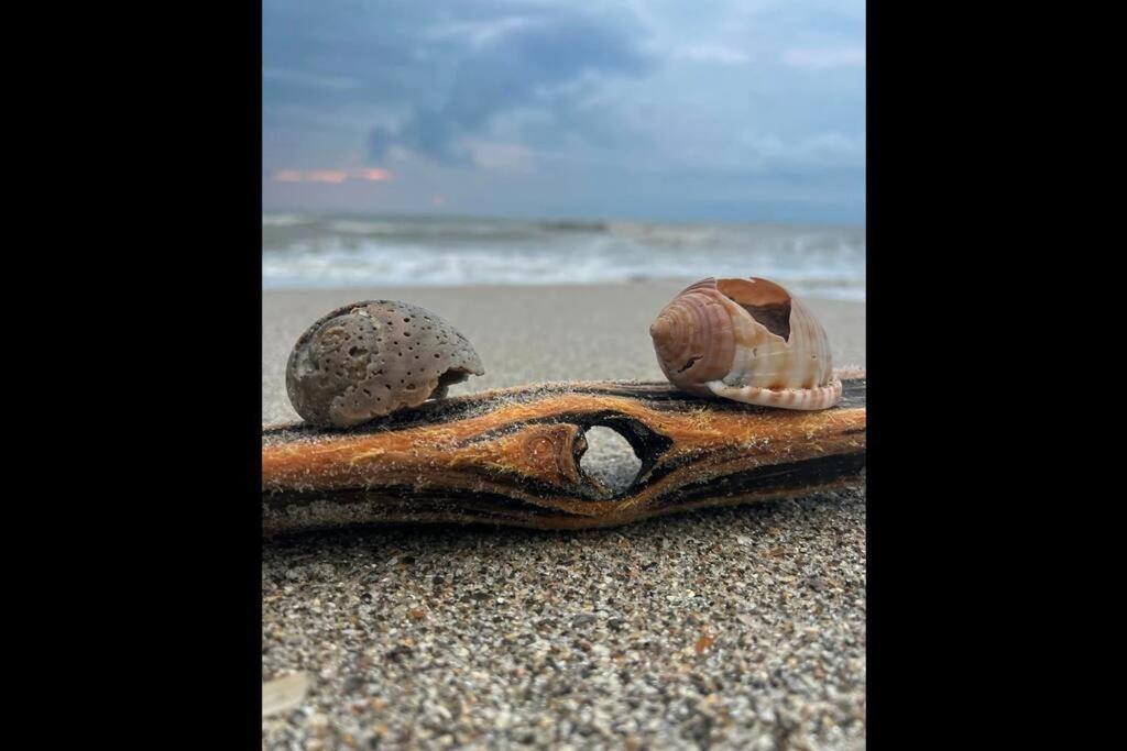 Cocoa, Beach House מראה חיצוני תמונה
