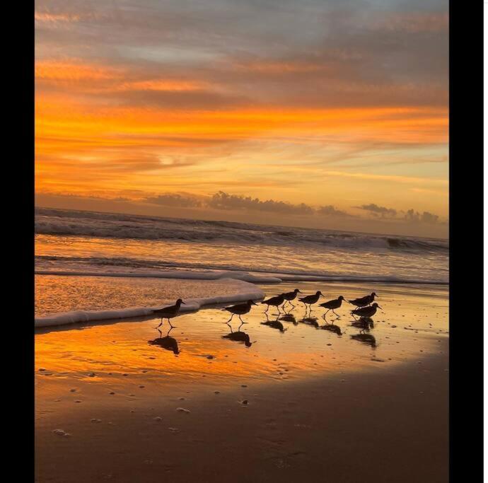 Cocoa, Beach House מראה חיצוני תמונה